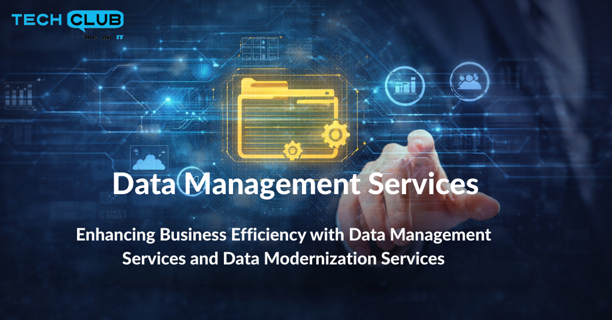 Data Management Services to Enhance Business Efficiency